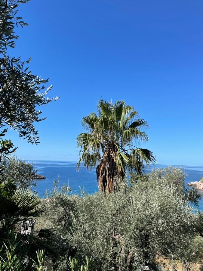 Sea View Apartment Sveti Stefan Ngoại thất bức ảnh